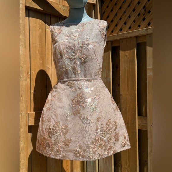 🆕 BRONX & BANCO 🧿 NWOT Violet Mini Dress, Gold & Champagne Sequin - Sz L US 8 - Picture 10 of 15